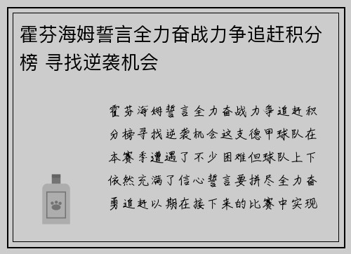 霍芬海姆誓言全力奋战力争追赶积分榜 寻找逆袭机会